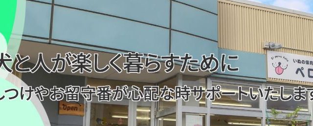 いぬの保育園 ペロ