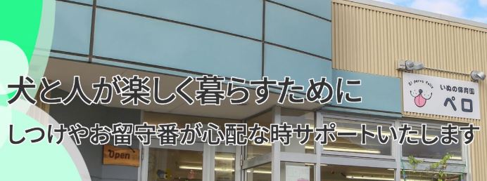 いぬの保育園 ペロ