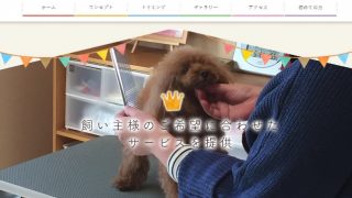 TRIMMING SALON Petit