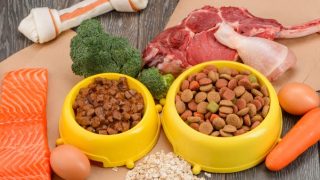 マルバン＿ジビエ