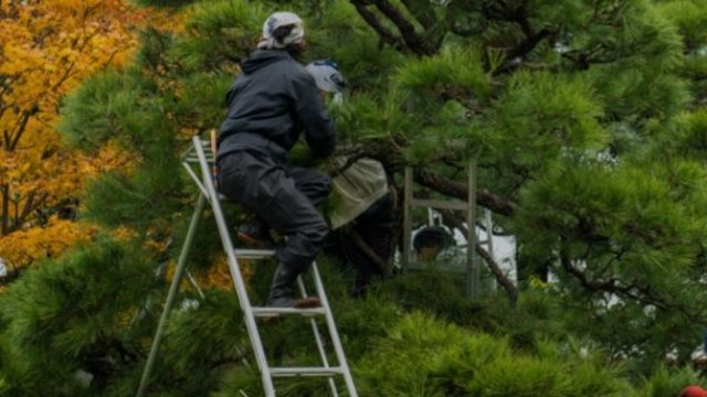 緑康株式会社