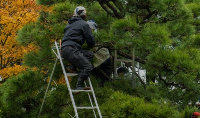 緑康株式会社