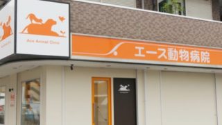 エース動物病院