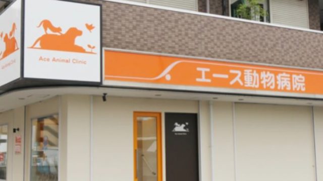 エース動物病院