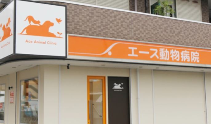 エース動物病院