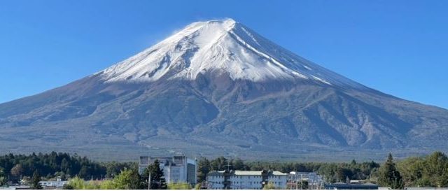 Megu Fuji 2021